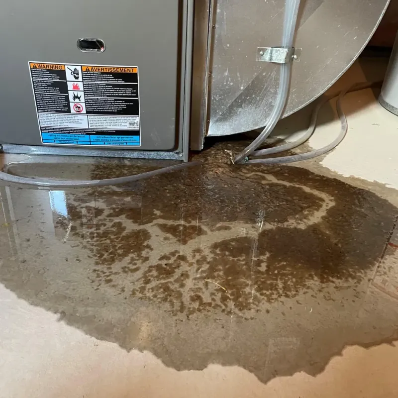 Appliance Leak Cleanup in Hidden Valley Lake, CA